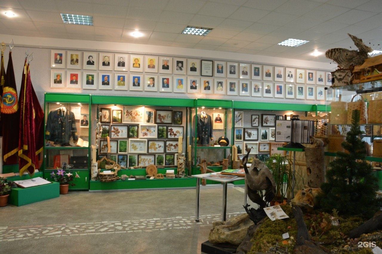 Музей леса